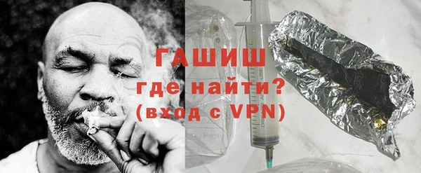 шишки Слюдянка