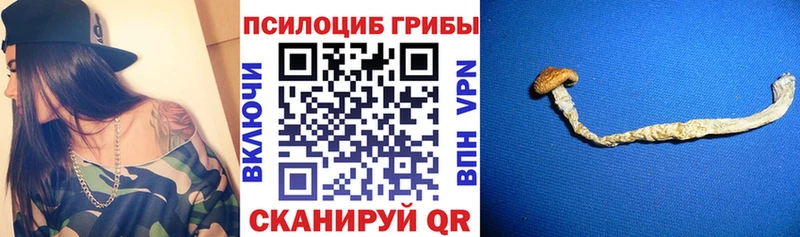 Псилоцибиновые грибы мицелий  Никольское 